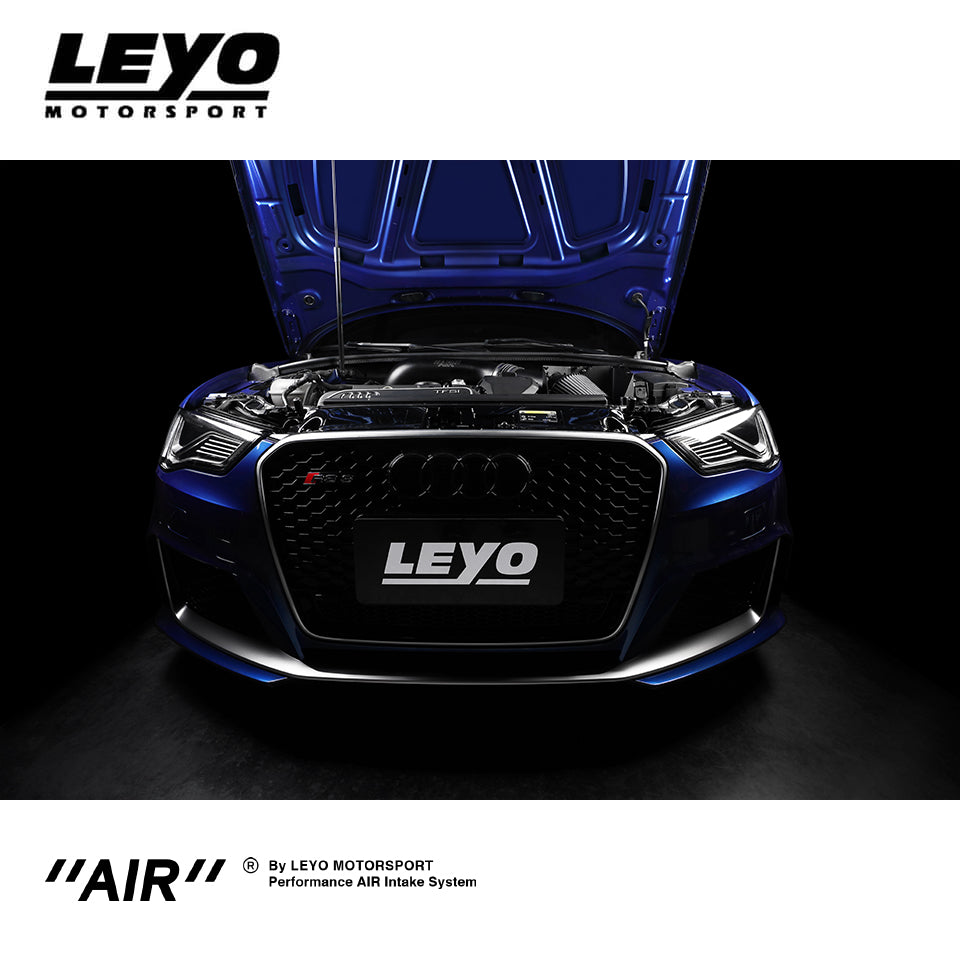 Intake de 4" Leyo Motorsport 8V.1 RS3