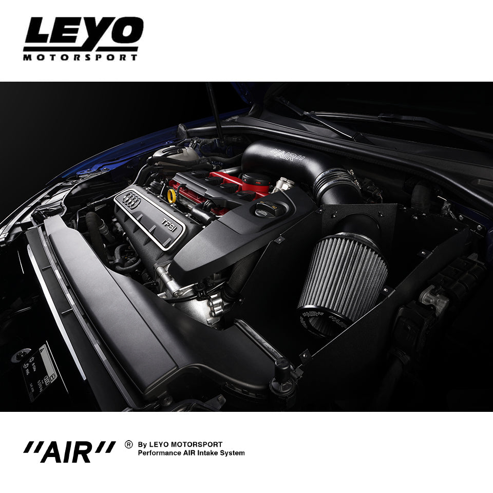 Intake de 4" Leyo Motorsport 8V.1 RS3