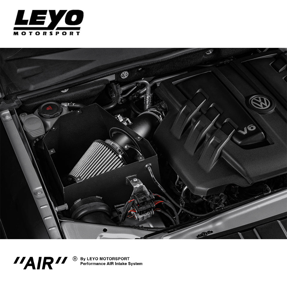 Intake Leyo Motorsport VW AMAROK 3.0 V6