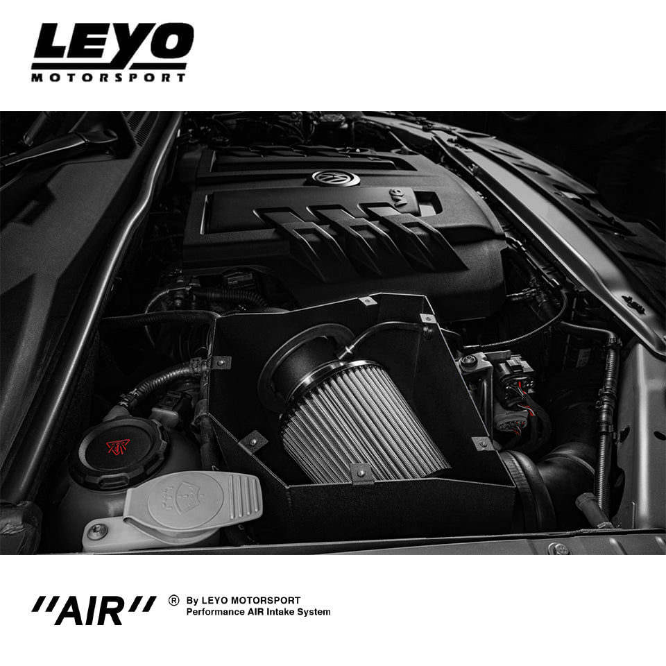 Intake Leyo Motorsport VW AMAROK 3.0 V6