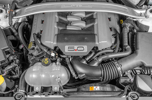 Catch Can PCV Radium Engineering Mustang GT 5.0 2011-2017